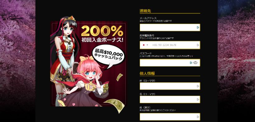 ライブカジノハウスの登録画面