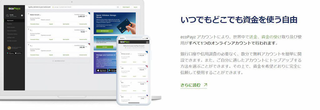 Payzペイズ（旧エコペイズ）のトップページの説明