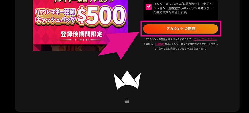 インターカジノの登録画面3