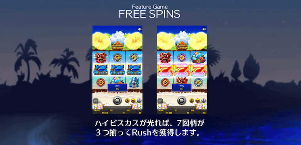 ハワイアンドリームのフリースピン