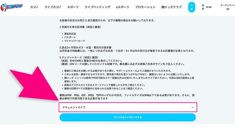 賭けっ子リンリンの書類提出