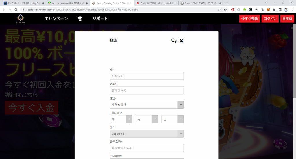 AcedBetの登録画面2