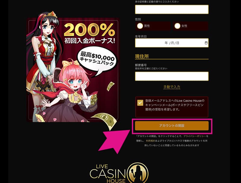 ライブカジノハウスのPCでの登録画面2