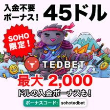 テッドベットカジノ