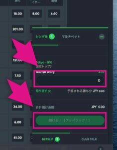 スポーツベットアイオーの競馬のベット