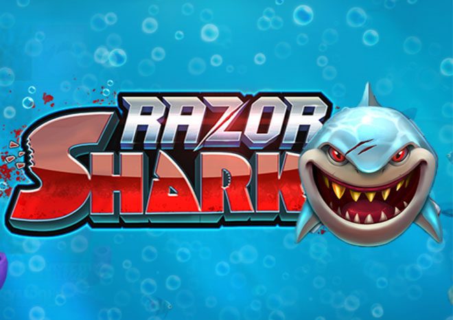 概要 razor shark