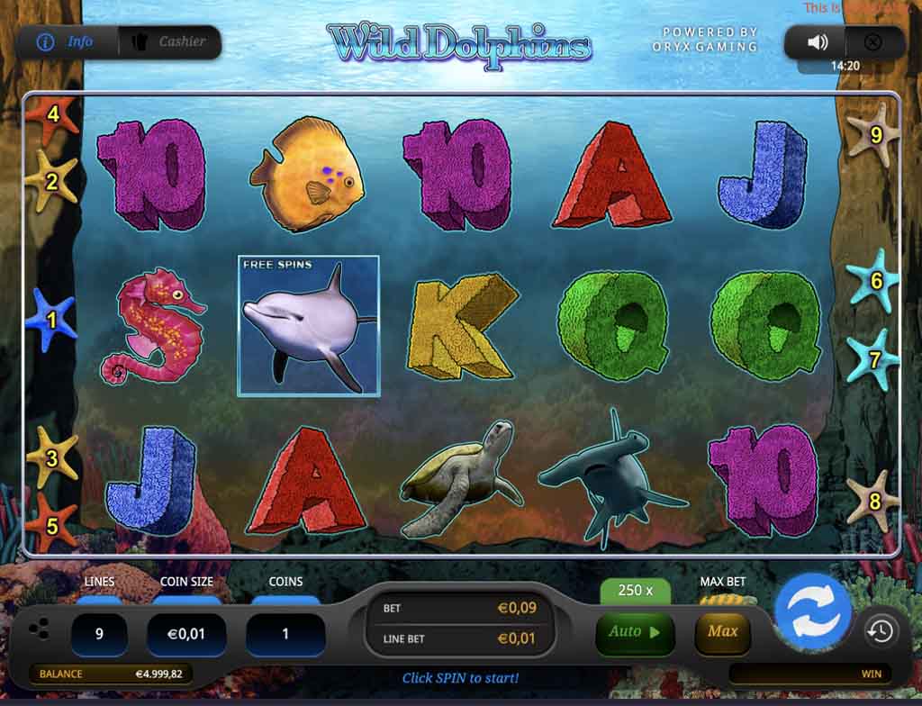 ワイルドドルフィンズ Wild Dolphins