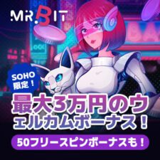 ミスタービット