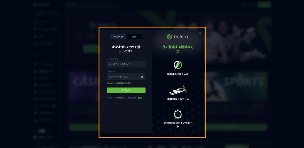 bets io Step 2 ログインに必要な情報を入力して