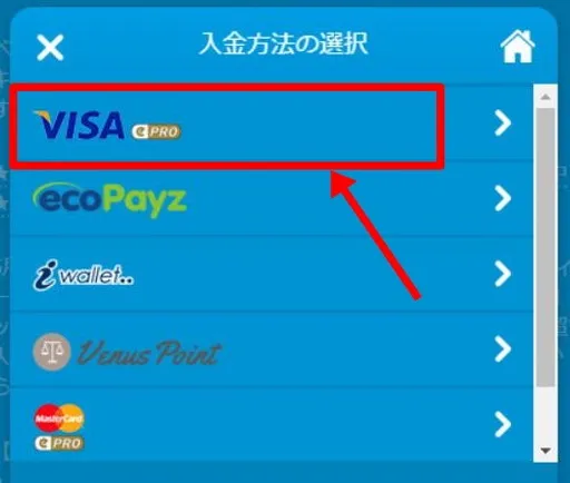 VISAカードでの入金方法2