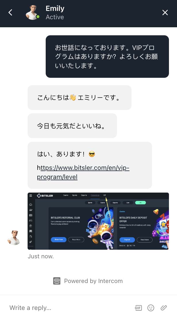 ビットスラーサポートに実際に問い合わせてみた！