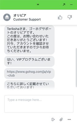 チャット返答時間 ゴーホグ