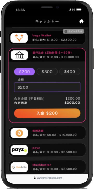 Step 5: 入金金額を指定 入金方法 インターカジノ