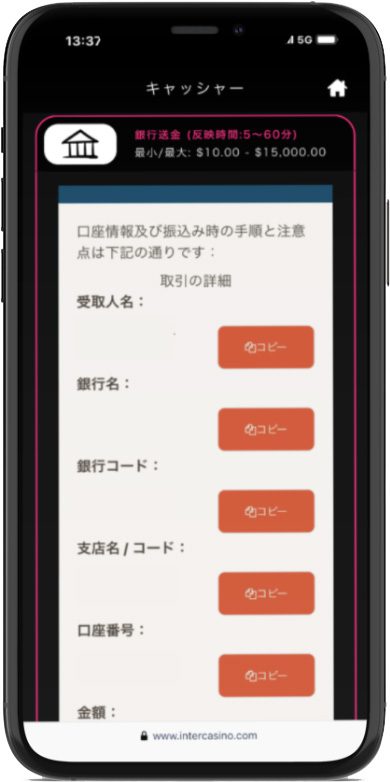 Step 7: 送金先の情報を確認し送金 入金方法 インターカジノ
