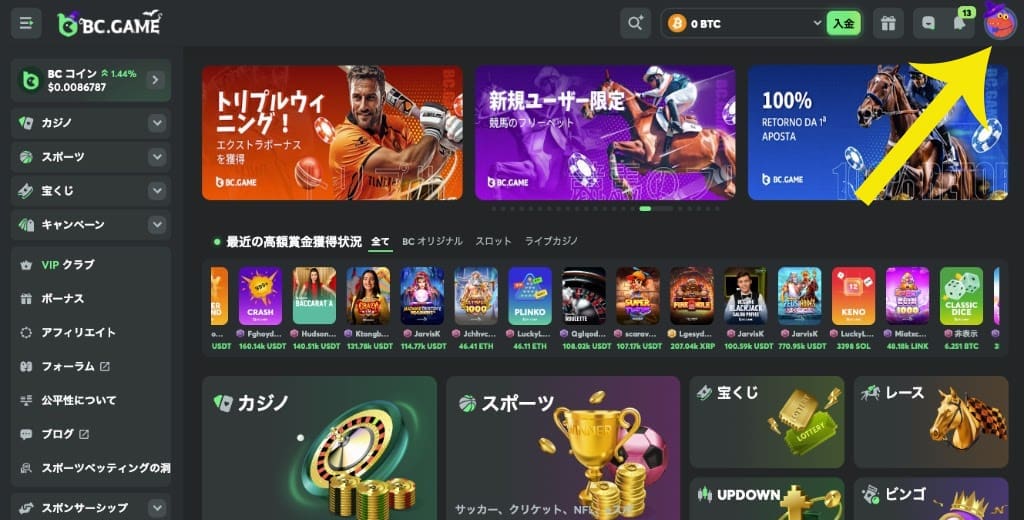 ステップ２ ブックメーカーにログイン